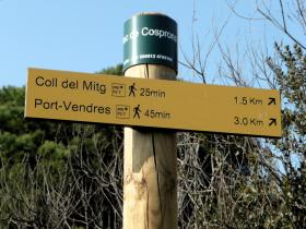 photo coins arrondis